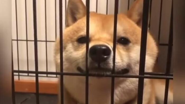 14 States Sue To Block DOGE From Uncovering Government Abuses, Slashing Waste