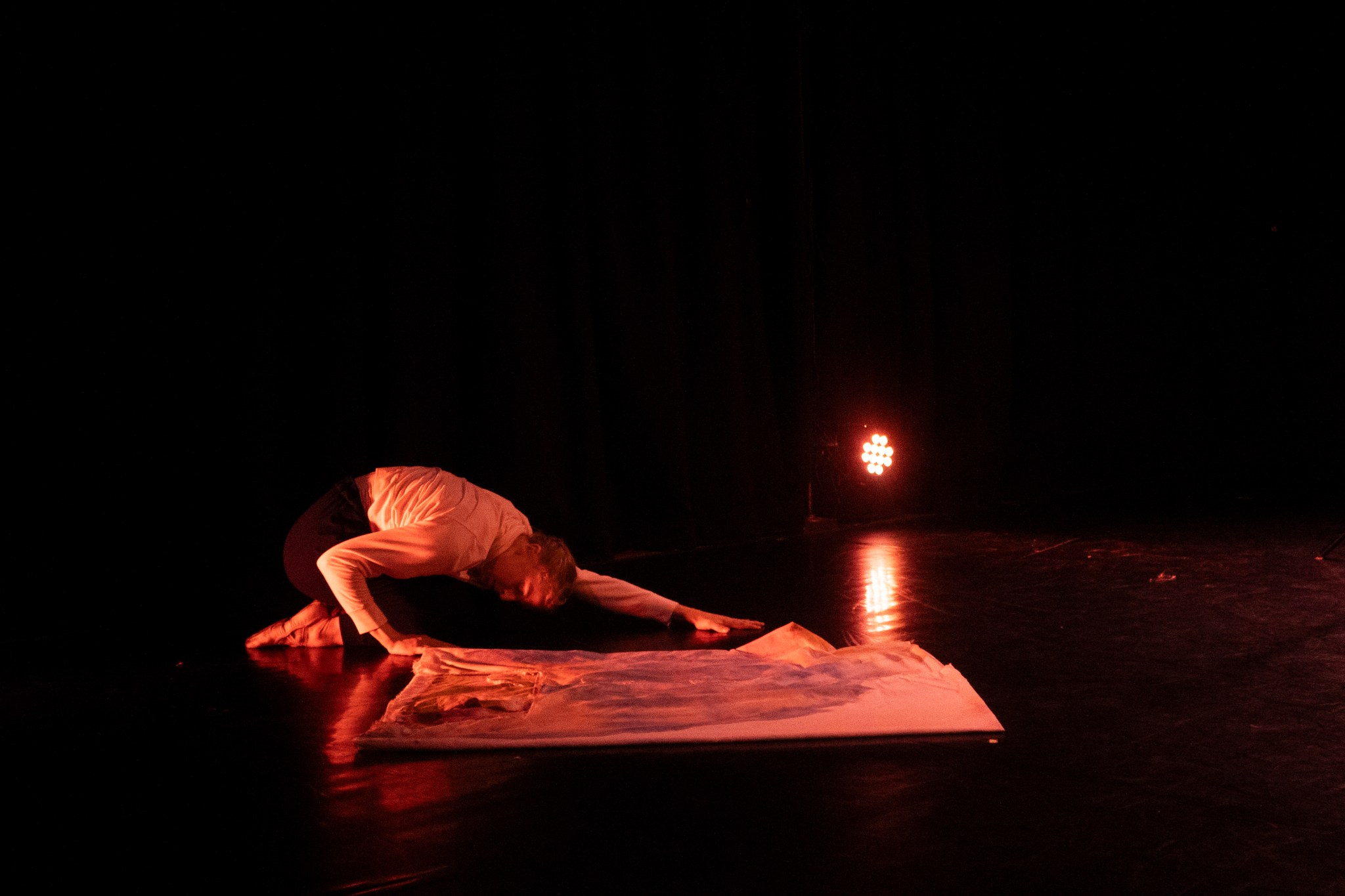 Arthouse 2B co-founder Claire Kretzschmar performing in the dance showcase "Beauty is the Home of Hope," in February 2025. (Photo by Shreya Sahai)