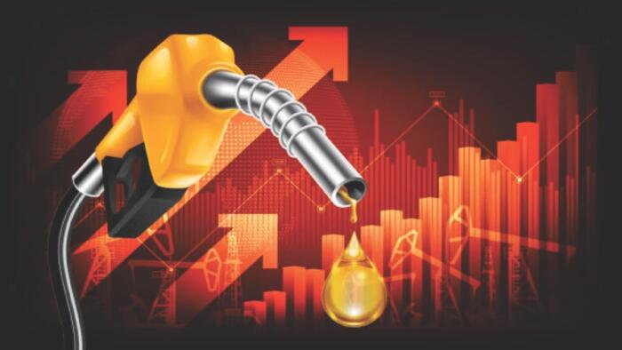 Energy Price As An Economic Indicator