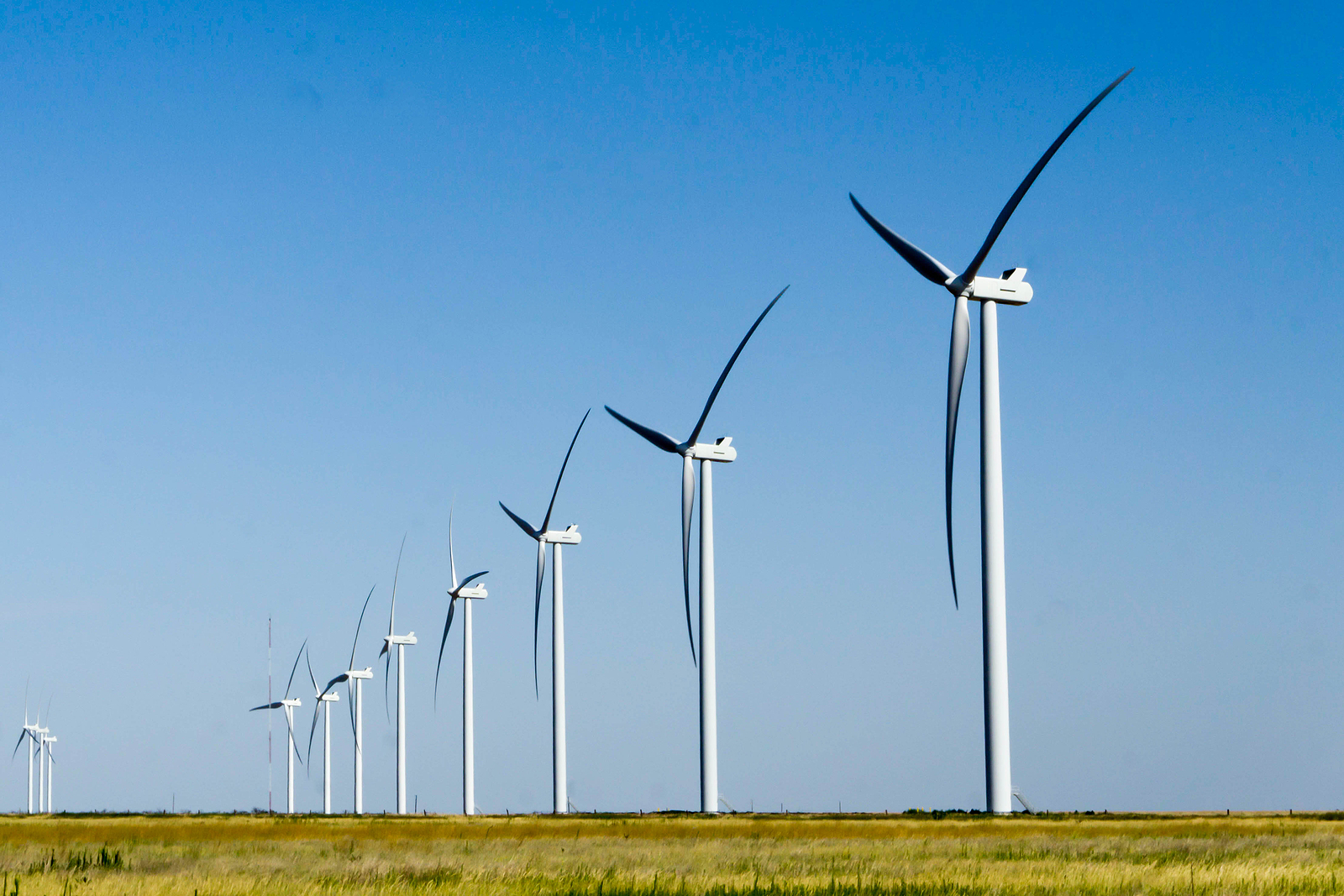 Trump Administration Cancels Large Wind Farm in Idaho