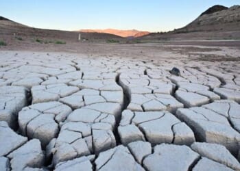 Farmers, Ranchers In 49 States To Get IRS Tax Relief Due To Drought