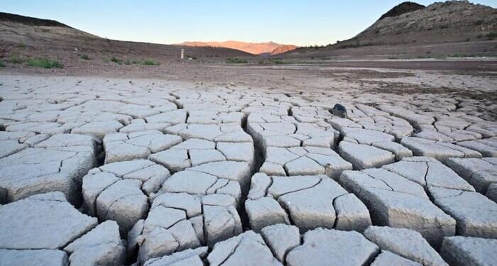 Farmers, Ranchers In 49 States To Get IRS Tax Relief Due To Drought