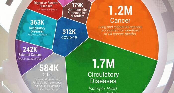 Europe's Top Causes Of Death, Ranked; Cancer Is #2