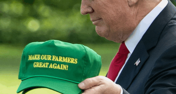China Pivots To Brazil, Squeezing U.S. Farmers As Trump Plans Relief Fund