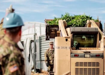 Oklahoma Overrun With Chinese-Operated Marijuana Farms