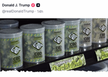 Marijuana Stocks Jump On Trump's "Revolutionize Senior Healthcare" Video