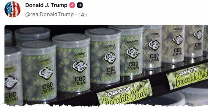 Marijuana Stocks Jump On Trump's "Revolutionize Senior Healthcare" Video