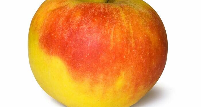 White House To Dems: Shutdown Threatens WIC Benefits For Mothers, Children