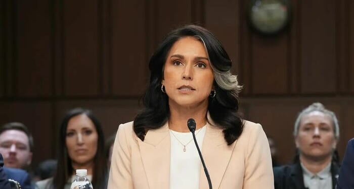 Not Only Tulsi: Three Members Of Congress Also Spied On In Quiet Skies Program