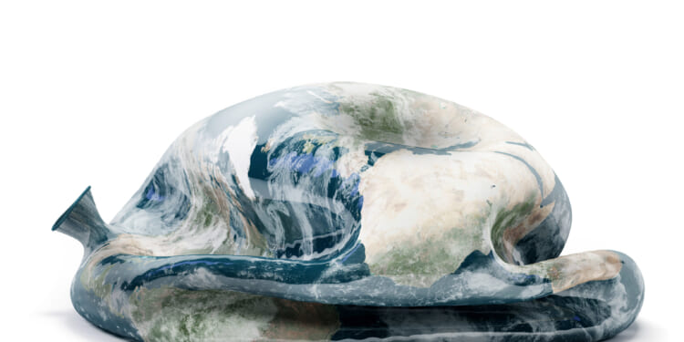 Net Zero emission ideologies is destructive to future generations