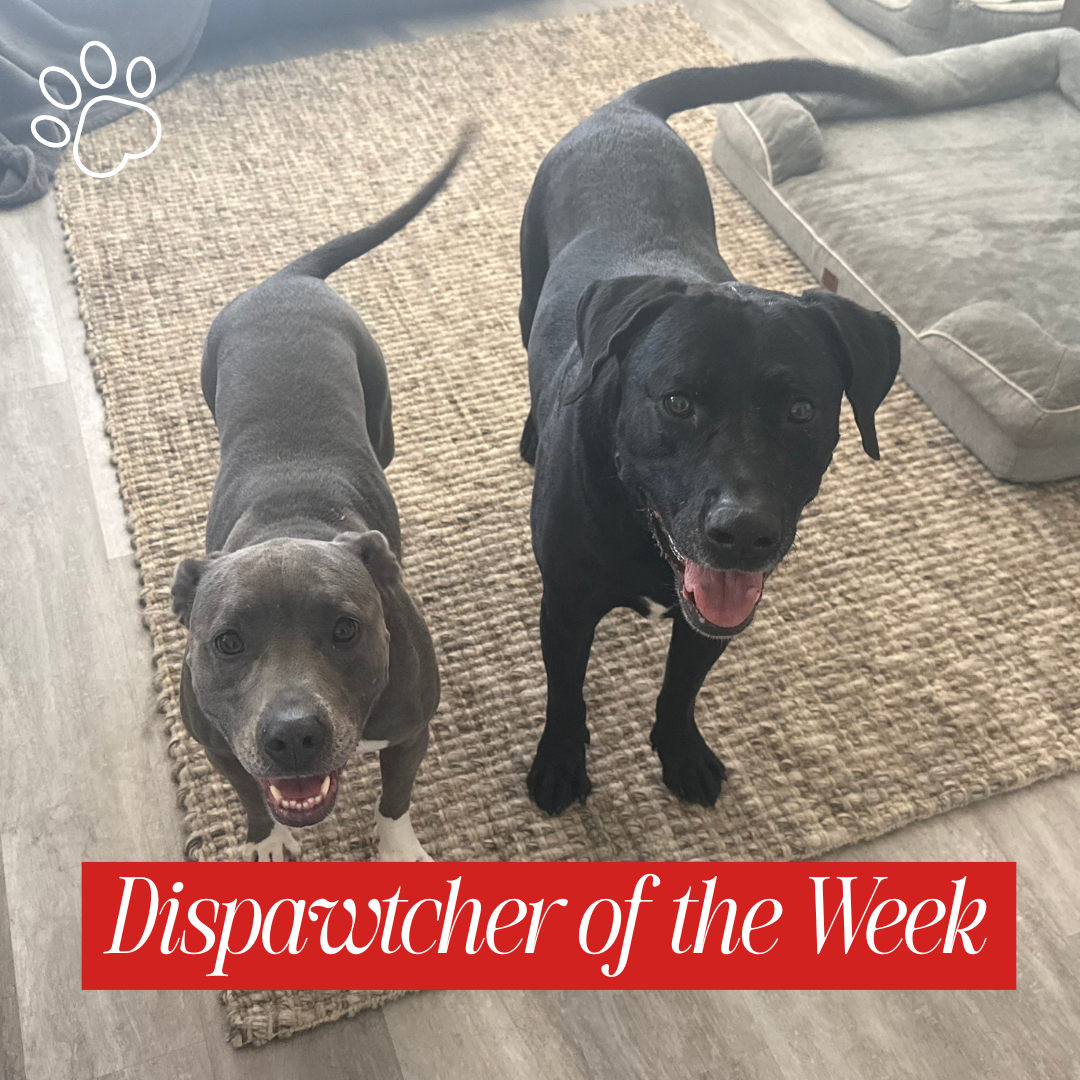 Copy of Dispawtch of the Week (35)