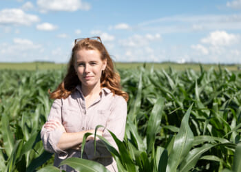 The Wrong Way to Fight Trump’s Tariffs