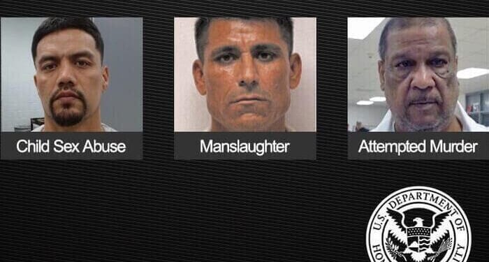 78% Of Americans Favor Deportation Of Criminal Illegal Immigrants; New Poll Finds