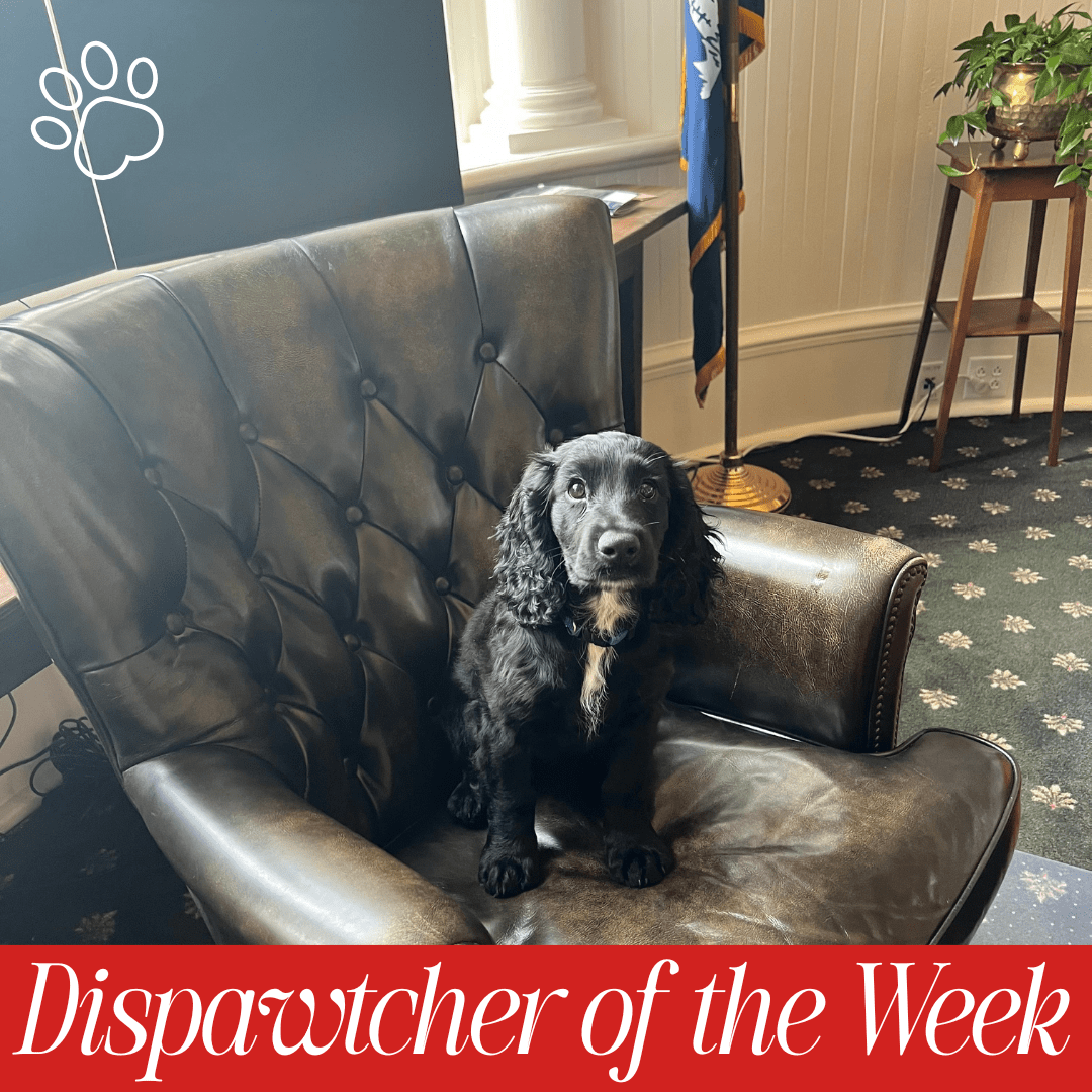 Copy of Dispawtch of the Week (39)