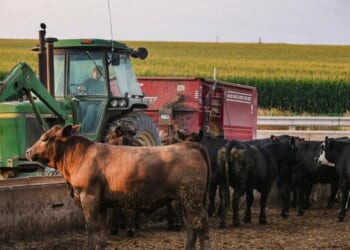 What Can We Do About The Agrarian Collapse?