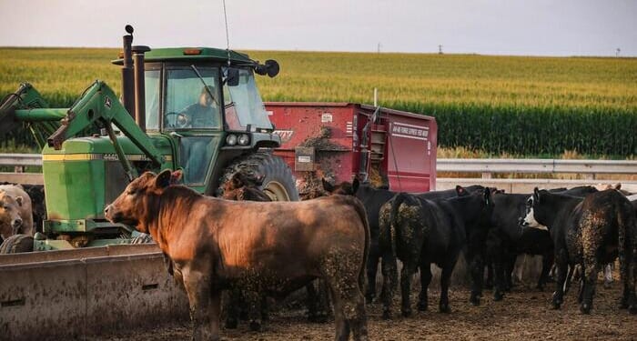 What Can We Do About The Agrarian Collapse?