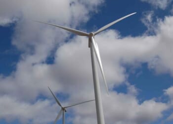 Wind, Solar Projects Can Stick Taxpayers With The Tab Coming And Going