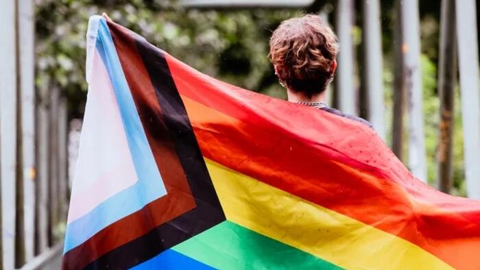 1 In 3 Brown U. Freshmen Are LGBT: Survey