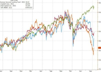 Probably More 'Cockroaches': Finger-Pointing Begins In Private Credit As Managers Fear More 'Late-Cycle Accidents'