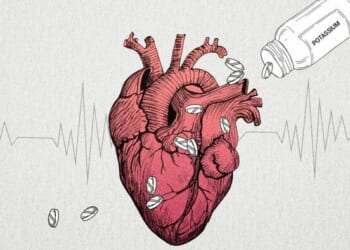 Raising Potassium Levels Protects Heart Patients