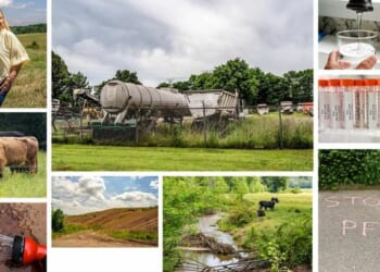 States Go It Alone On 'Forever Chemicals' As EPA Delays Federal Action