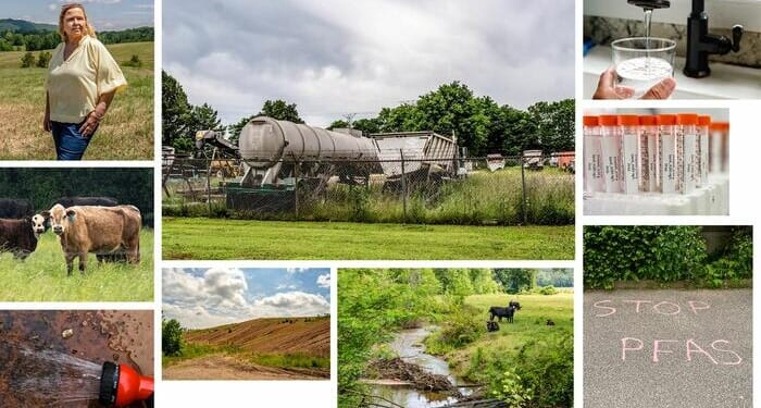 States Go It Alone On 'Forever Chemicals' As EPA Delays Federal Action