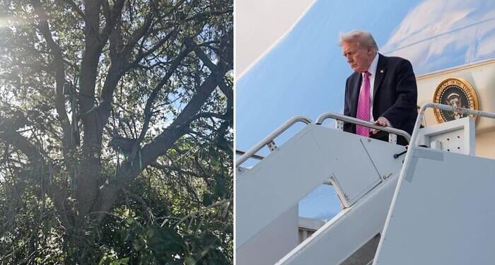 Secret Service Discovers Hunting Stand Overlooking Trump's Air Force One Exit