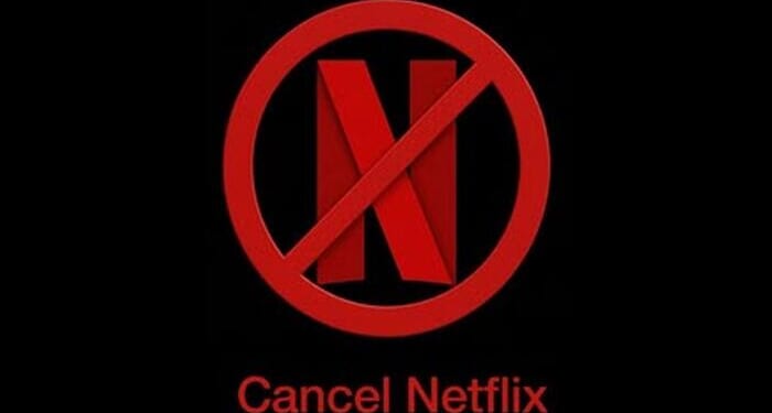 Netflix Crashes After Musk's "Cancel" Crusade Leads To Top, Bottom Line Miss
