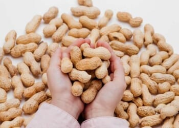 Peanut Allergies In Children Have Dropped Significantly: Study