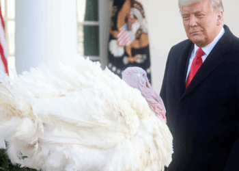Walmart's Thanksgiving Meal Deal Returns To 2019 Low Price Levels