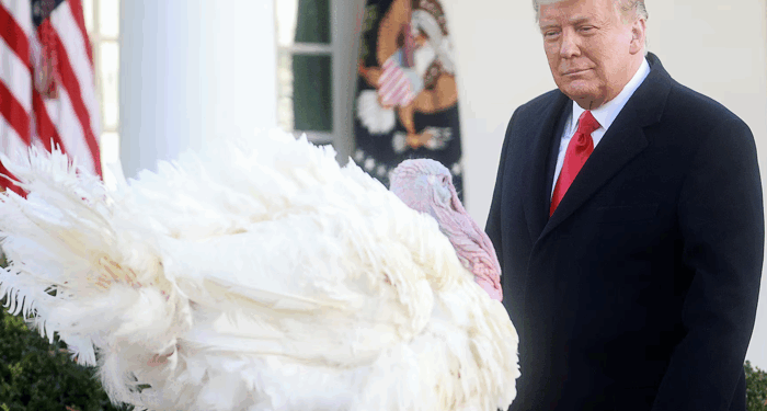 Walmart's Thanksgiving Meal Deal Returns To 2019 Low Price Levels