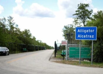 Florida Judge Halts Alligator Alcatraz Lawsuit Over Government Shutdown
