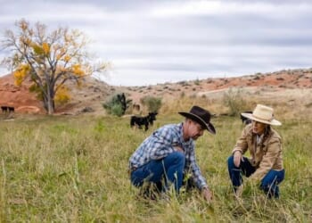 These Wyoming Ranchers Want A Regenerative Revolution