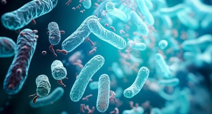 How Gut Microbes Drive Cancer Risk - And What You Can Do to Restore Balance