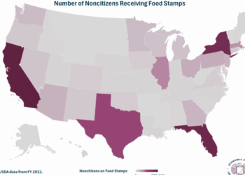 Mapping Where Non-Citizens Receive The Most Food Stamps
