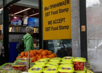 Food Stamps To Be Paused For 42 Million Americans: What To Know...