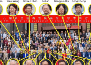 Canadian Scientist's Secret Work On Wuhan Bat Virus Could Have Caused Covid, New Revelations In Book