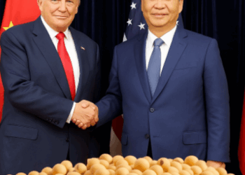China Boosts U.S. Soybean Purchases Following Trump-Xi Trade Talks