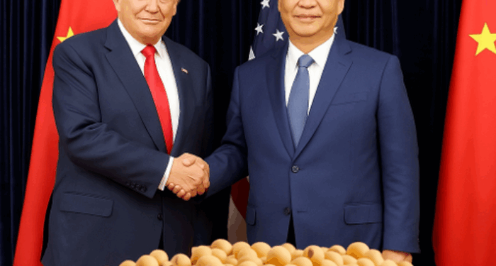 China Boosts U.S. Soybean Purchases Following Trump-Xi Trade Talks