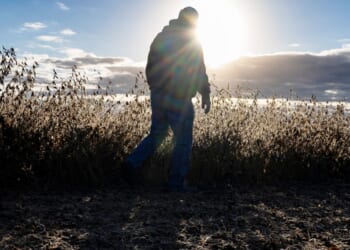 A person walking in a field