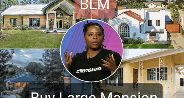 Black Lives Matter Under Federal Investigation For Donor Fraud; Report