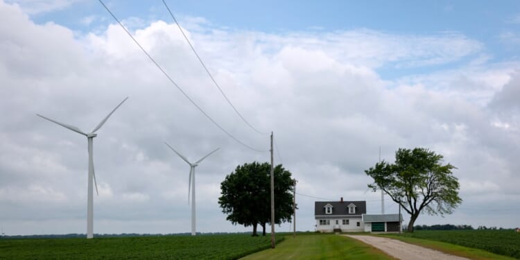 Windmills in a field with a house and trees in the background