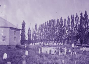 A cemetery with trees in the background