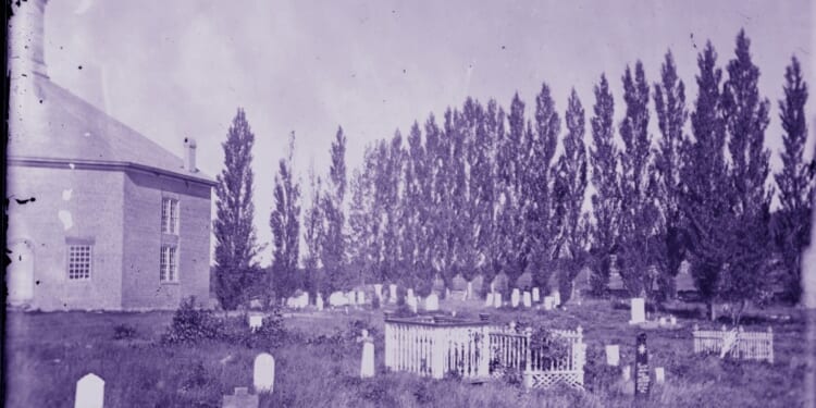 A cemetery with trees in the background