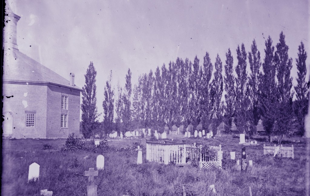 A cemetery with trees in the background