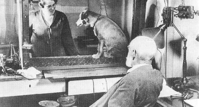 Pavlovian Bidding Up Of Equities