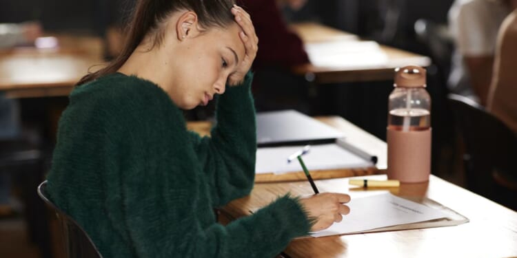 School Choice, Not Test Scores, Produces Real Accountability