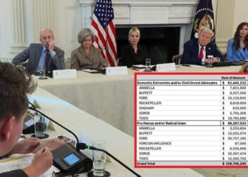 "We Found A Network Of NGOs, Not Just Soros": Trump Briefed On Left-Wing Machine That Sows Chaos