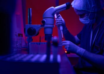 A person using a microscope