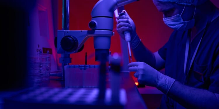 A person using a microscope